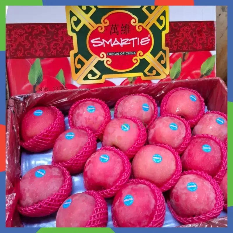 Daftar Harga Fuji Blush 💯 Original & Spesifikasi Lengkap Mei 2026