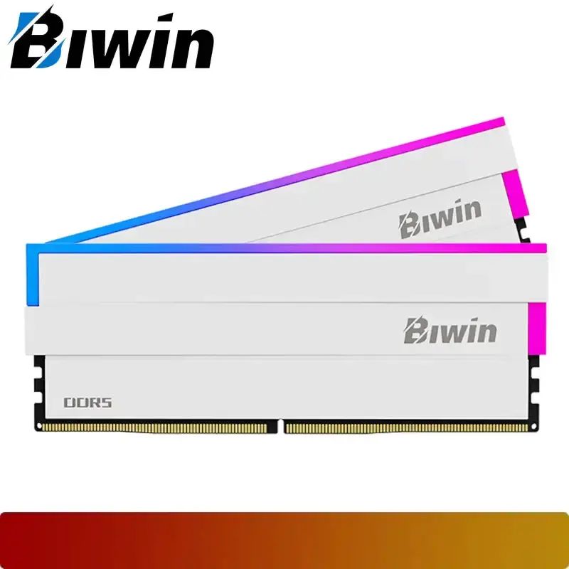 Jual Biwin B5dw100646030er2g-cw013 | Opal Dw100 Rgb 64gb (2x32gb