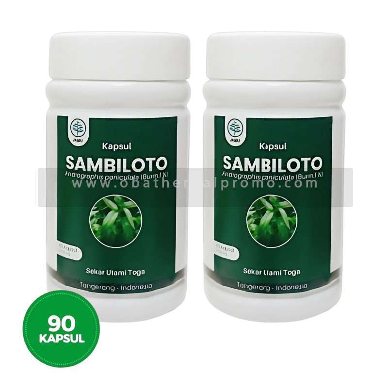 Jual Tanaman Toga Sambiloto 🏷️ 100% Original, Harga & Kualitas Terbaik ...