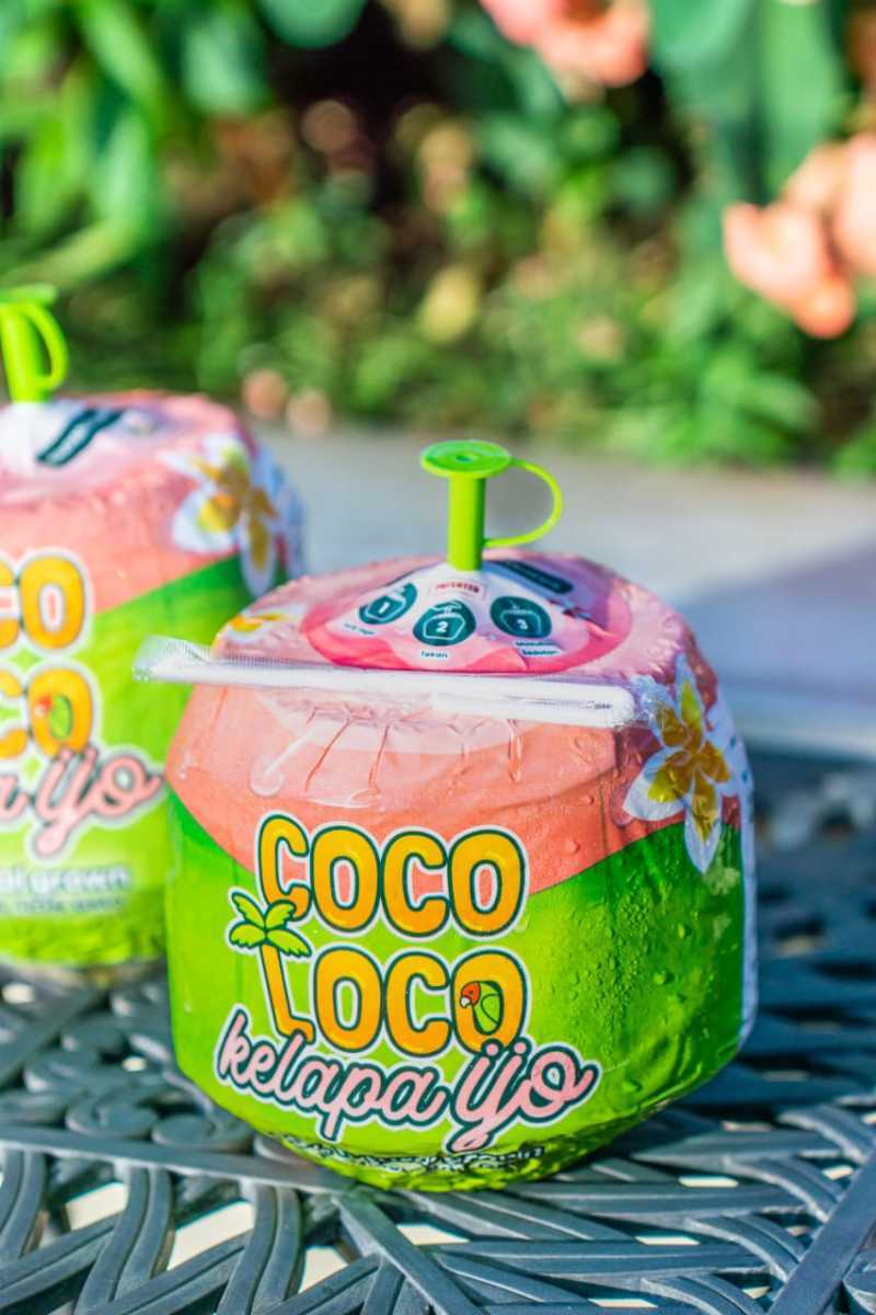 Jual Coco Loco Green Kelapa Muda Hijau 1 Pcs Di Seller Fresh By