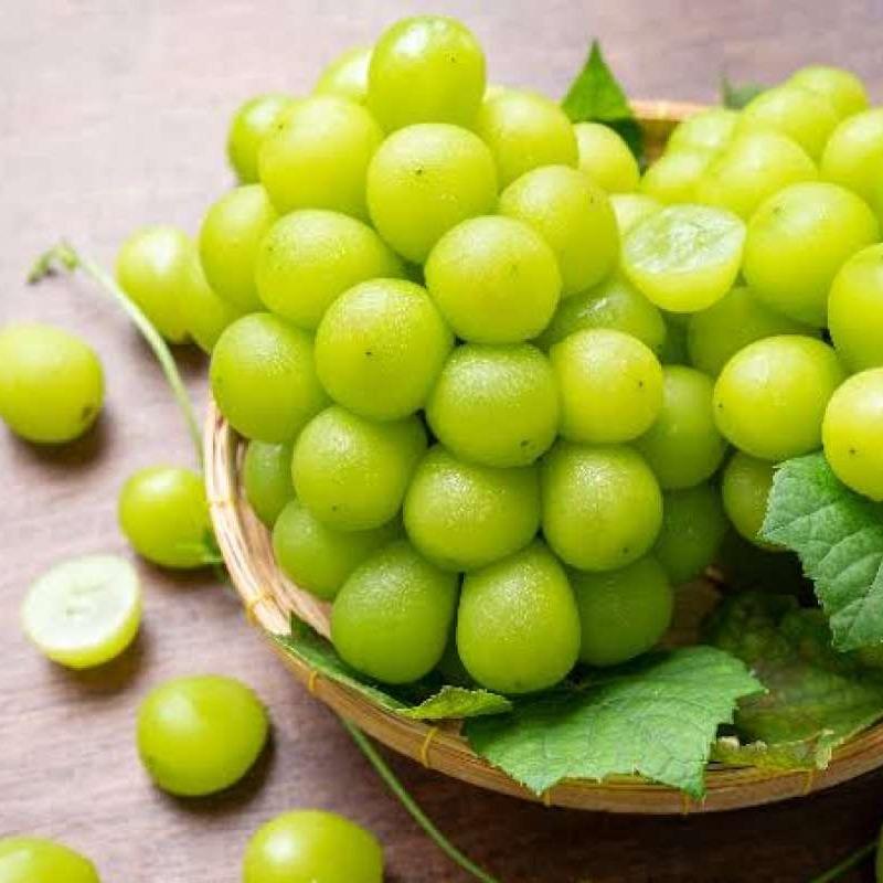 Promo Kelapa Gading Anggur Shine Muscat Seedless Green Grape RRC [450