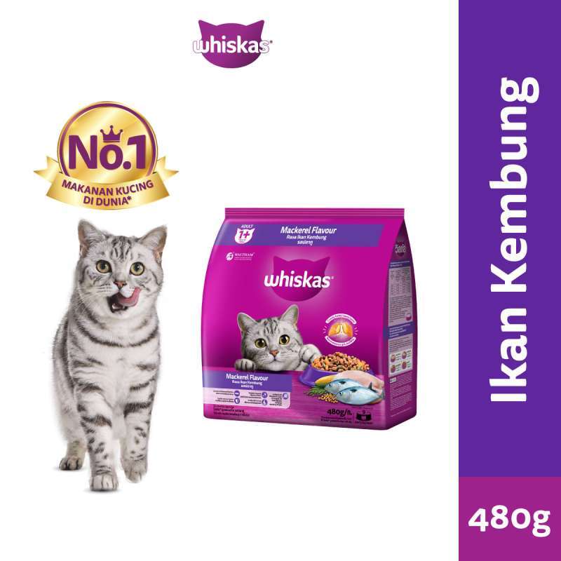 Jual Distributor Makanan Kucing Terdekat Harga Grosir Murah Terupdate Hari Ini November 2024