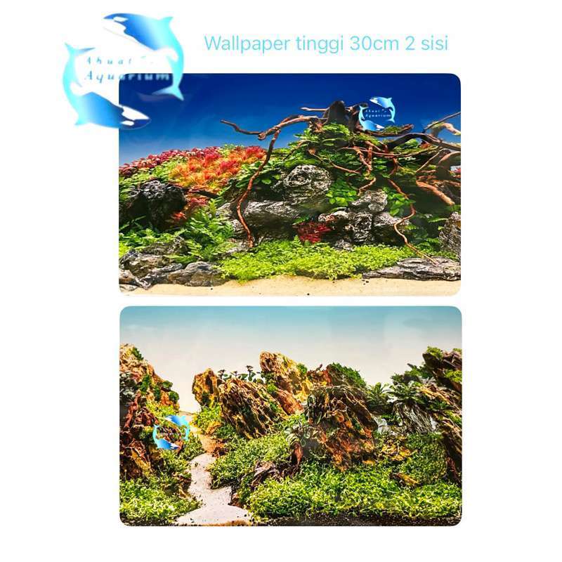 Promo Wallpaper Aquascape Ukuran 30 Cm Background Aquascape Diskon 36% ...