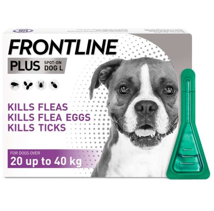 Frontline anjing sale