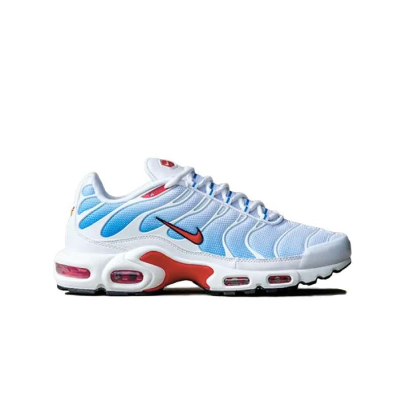 nike aie max plus