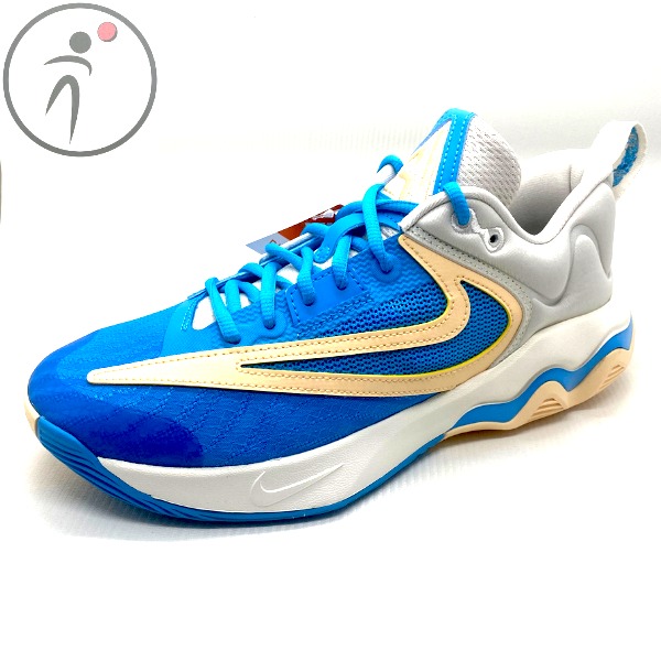 Jual Sepatu Basket Nike Original Giannis Immortality 3 DZ7534 002