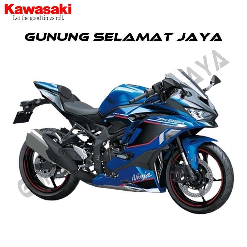 Kawasaki zx250r harga on sale