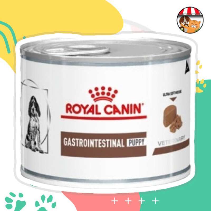 Gastro intestinal puppy cheap