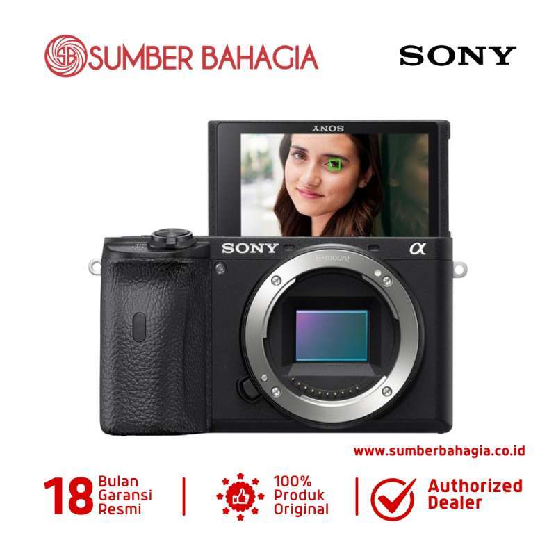 Jual Sumber Bahagia Sony Alpha 6600 Mirrorless Kamera Di Seller