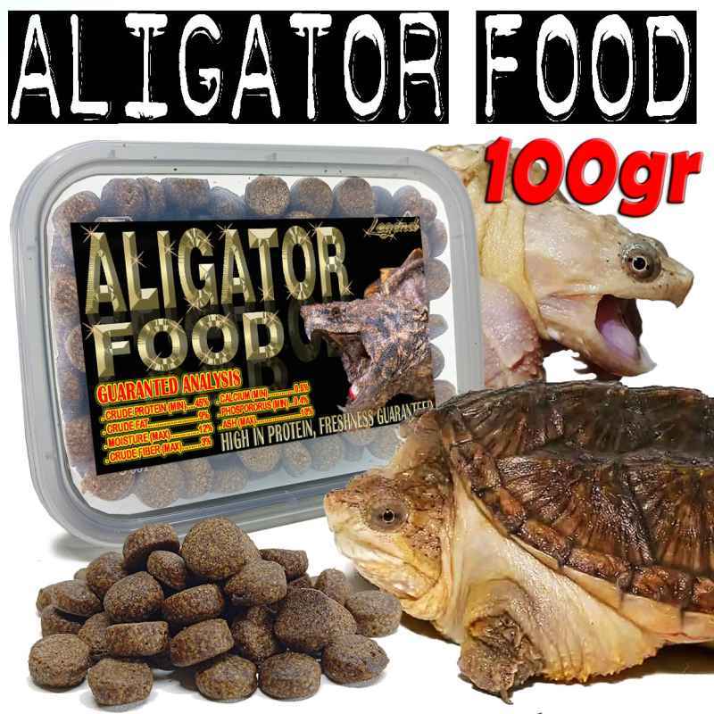 Jual Ast Alligator Snapping Turtle Termurah - Harga Grosir Terupdate ...