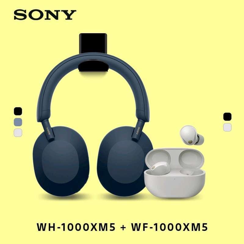 Sony wh top 1000 xm1