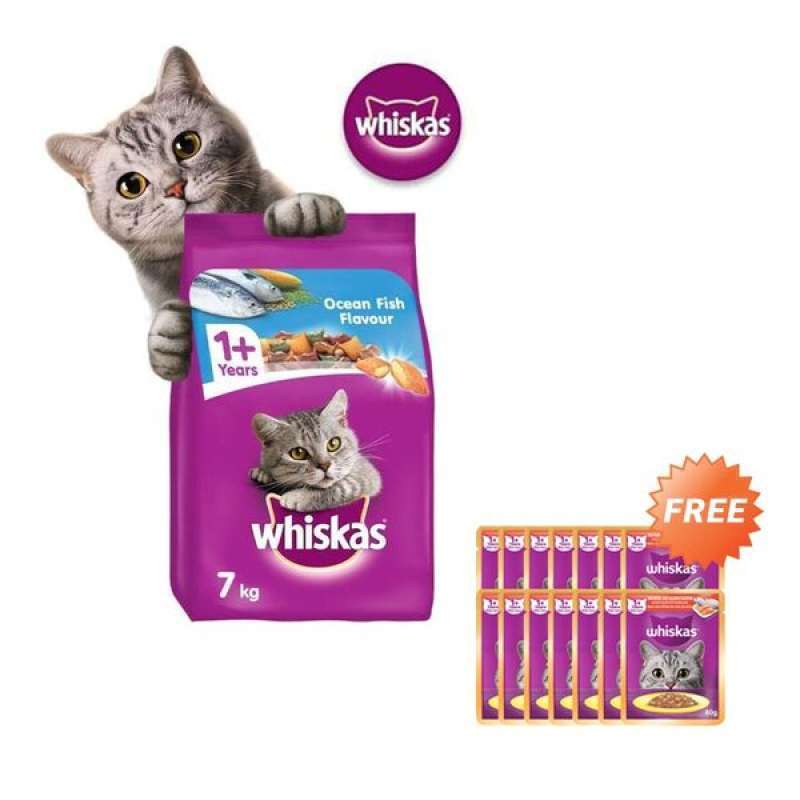 Jual Distributor Makan Kucing Terdekat Harga Grosir Murah Terupdate Hari Ini Oktober 2024