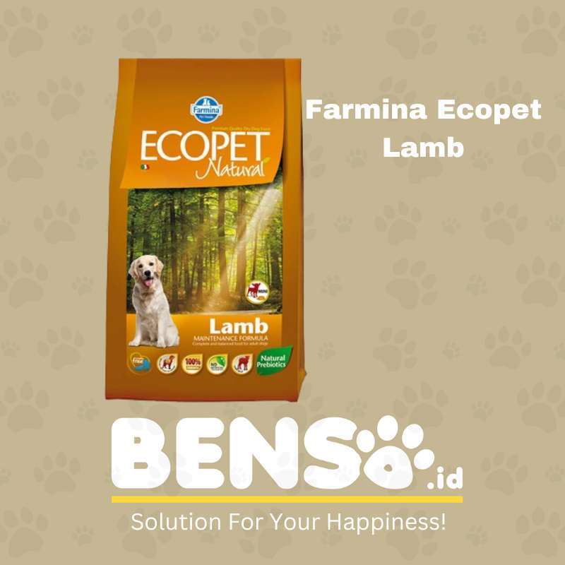 Makanan Anjing Pet Shop Farmina Jual Farmina N&D Adult Cat Grain