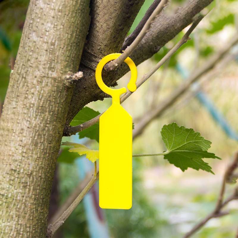 Jual Label Tag Pohon 💯 Harga Murah & Kualitas Terbaik Februari 2026