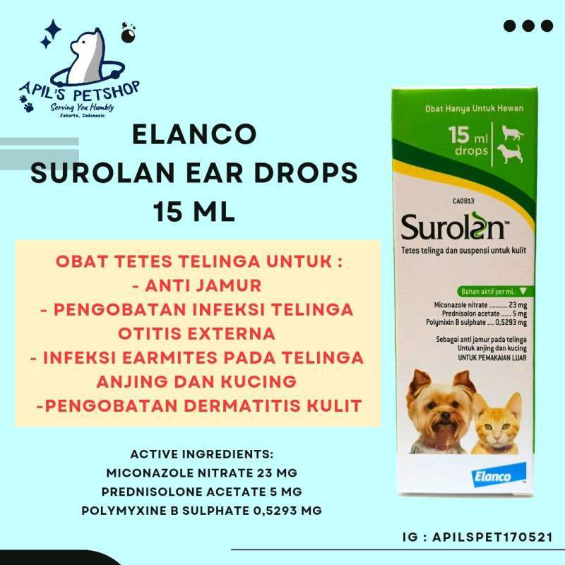 Ear Malassezia Dermatitis In Dogs Treatment Jual Surolan Ear Drops