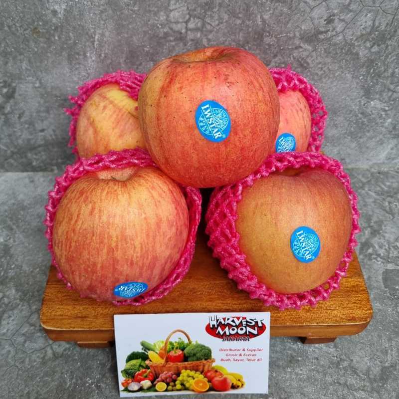 Apel Fuji Per Kg Gratis Ongkir 🔥 Harga Murah Juni 2026