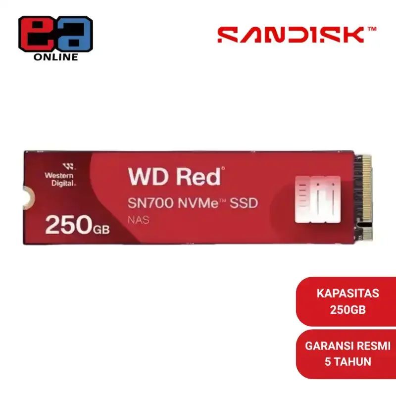 Promo Wd Red Ssd Nas Sn700 250gb / 500gb / 1tb / 2tb / 4tb M.2