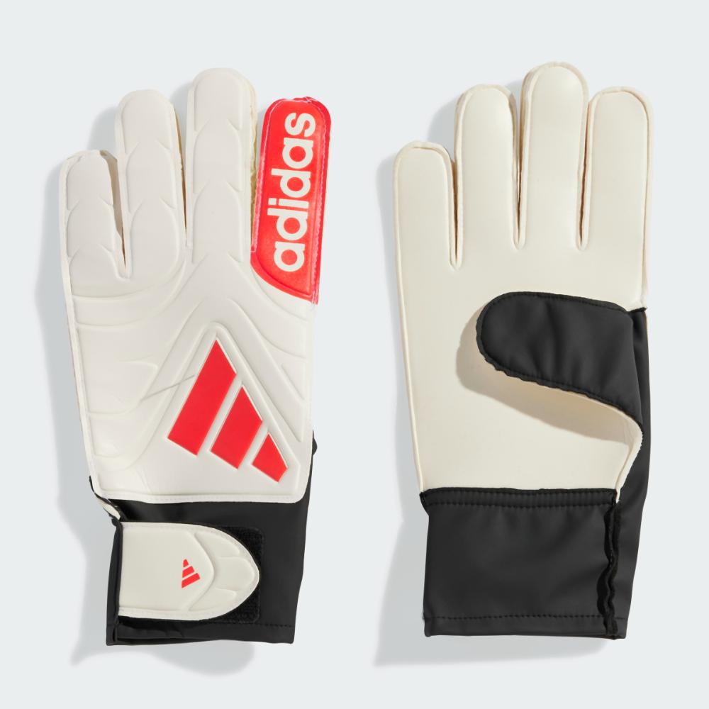 adidas FEVERNOVA サッカーボール 安貞桓 サイン ふとり ケース