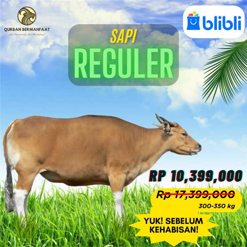 Iklan Qurban