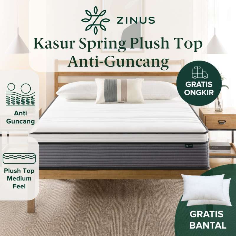 Spring Bed Kasur Zinus Plush Top Mattress In a Box