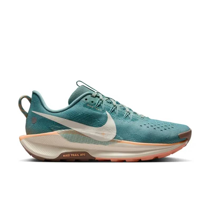NIKE Women Running Pegasus Trail Shoes Sepatu Lari Wanita [DV3865-010]