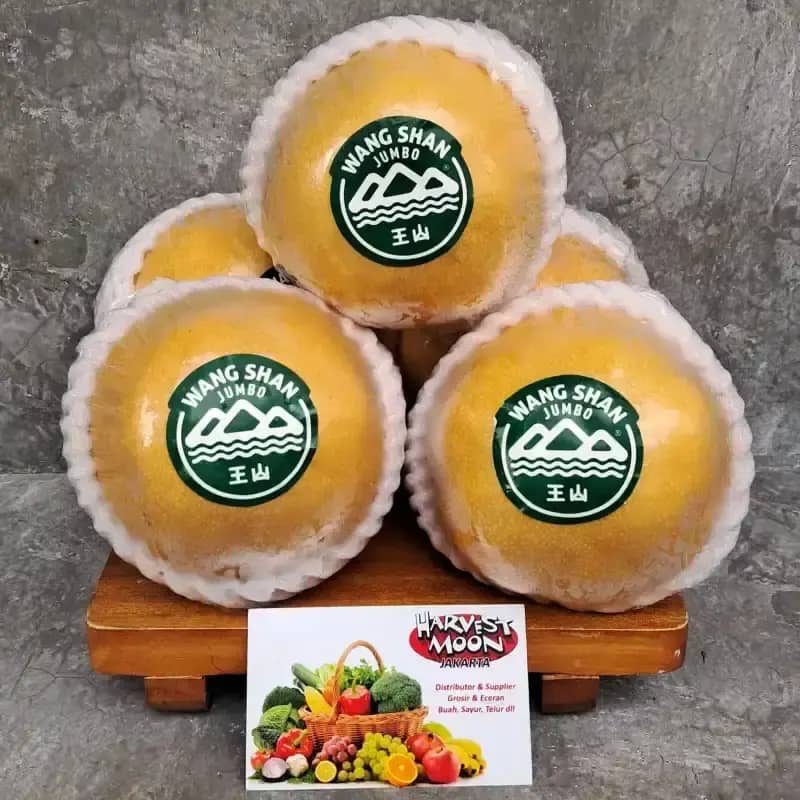 Promo Harvestmoon Pear Singo Per Dus Halal Diskon 43% Di Seller Harvest ...