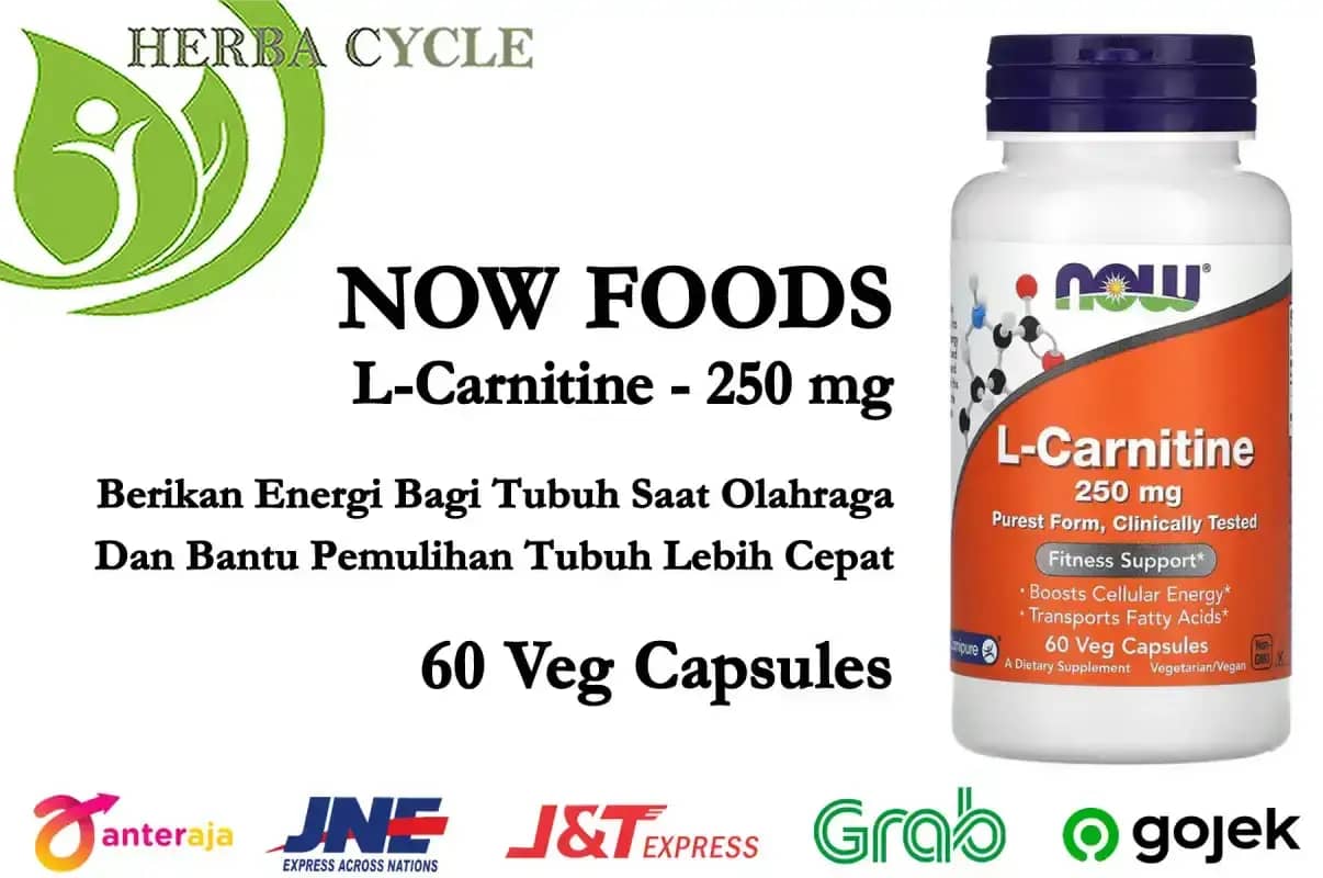 now l carnitine 250 mg Now Foods L Carnitine 250 mg 60 Veg Caps Now Carnitine ORI USA