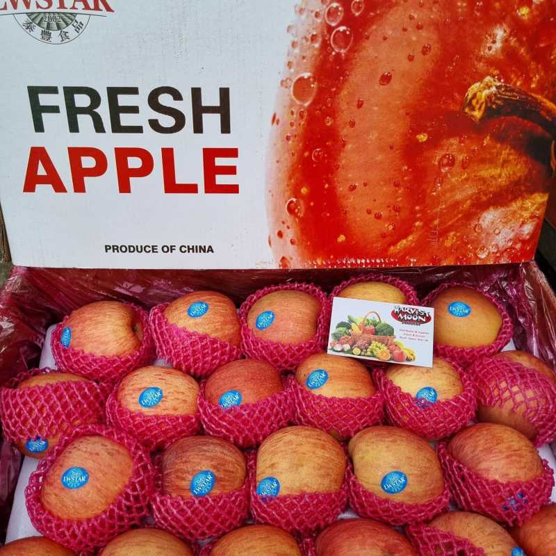 Supplier Apel Gratis Ongkir 🔥 Harga Murah April 2026
