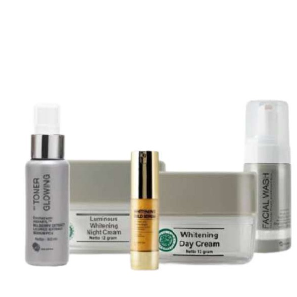 Promo [MS GLOW ASLI ORIGINAL] Paket Renew Skin MS Glow Luminous Series