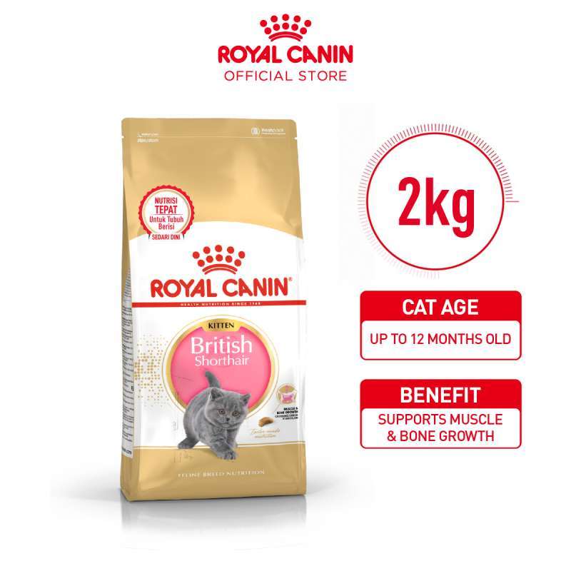Promo Royal Canin British Shorthair Kitten (2kg) Dry Makanan Anak