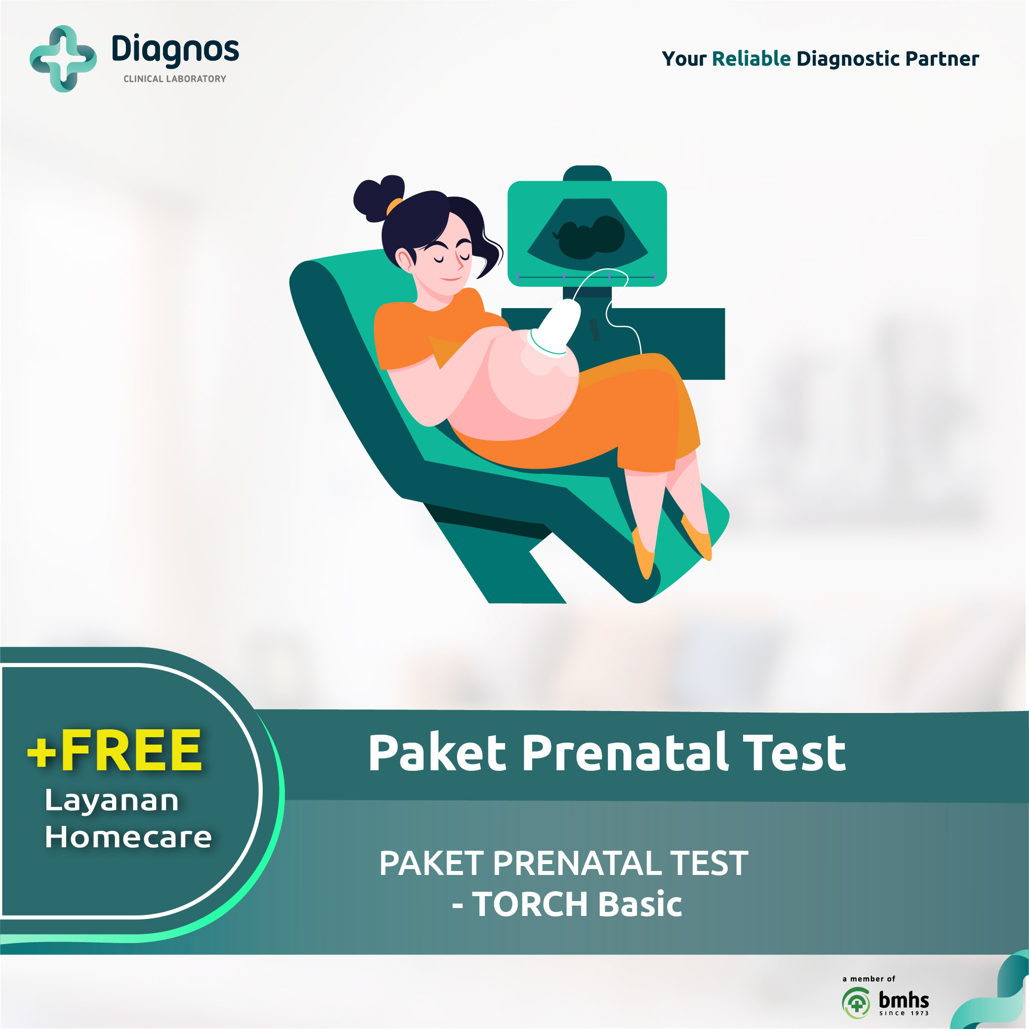 Promo Paket Prenatal Test Torch Basic Diagnos Laboratorium E