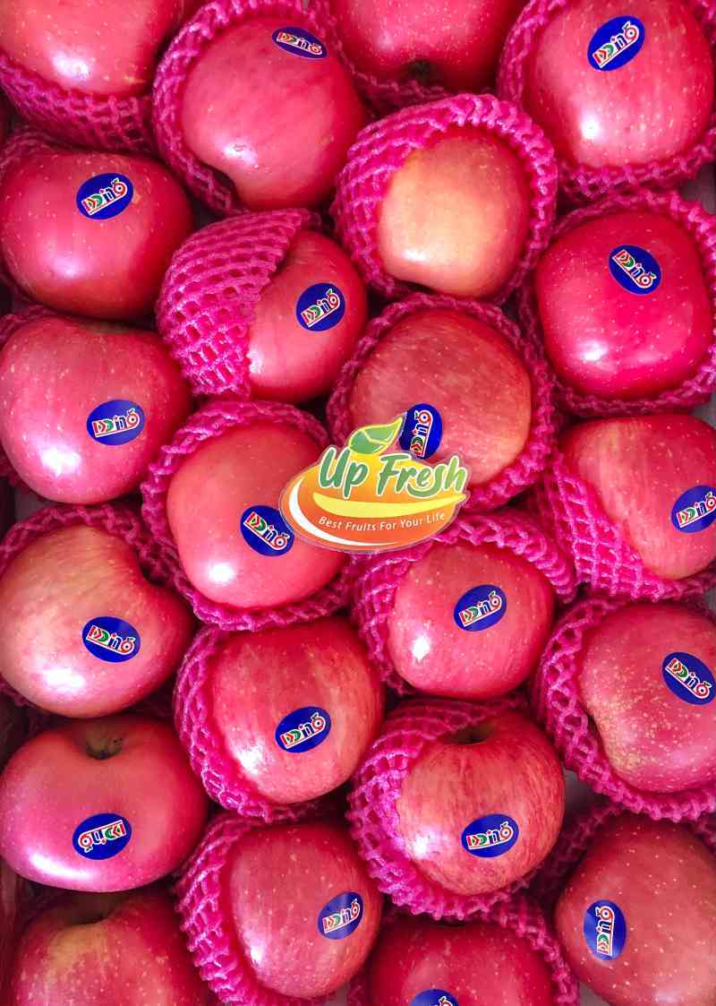 Apel Fuji Rrt Jual Apel Fuji Blush Pohon Premium Di Seller Upfresh Makassar ...