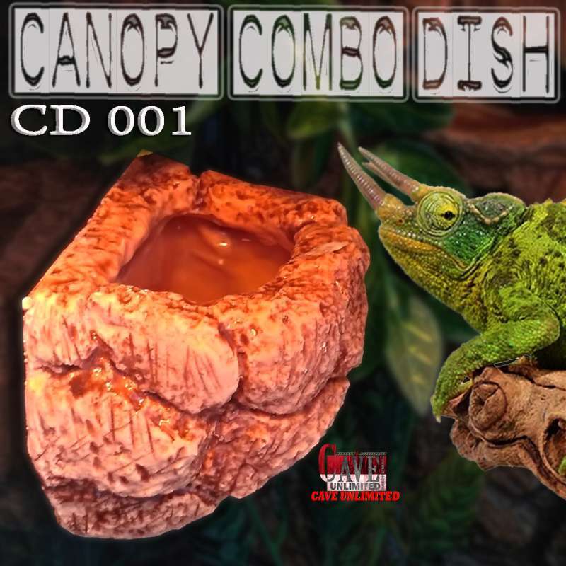 Canopy combo dish new arrivals