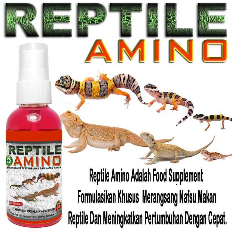 Promo Reptile Amino Obat Vitamin Penambah Nafsu Makan Pertumbuhan