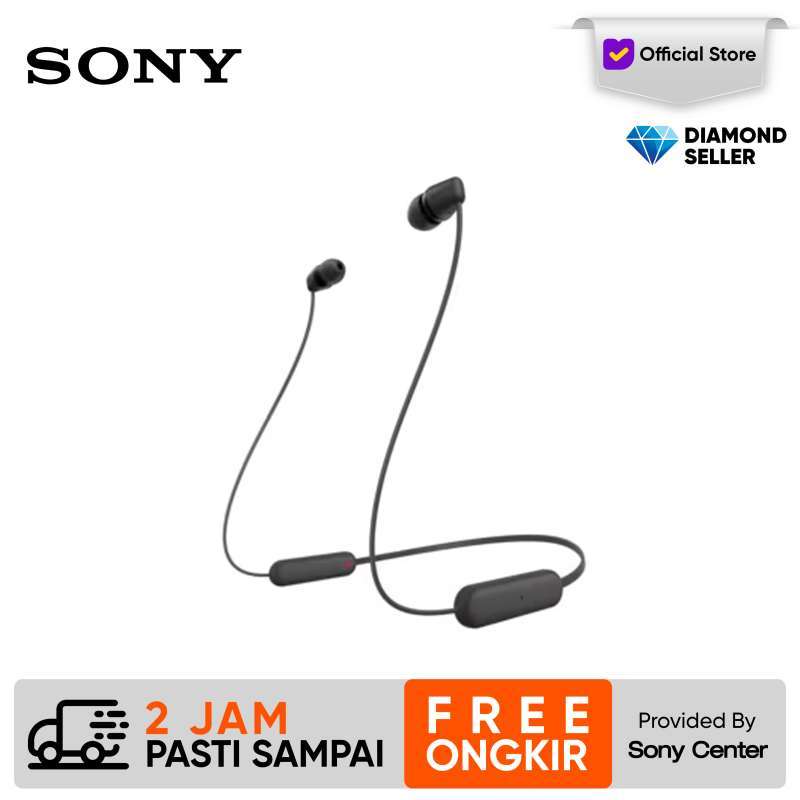 Sony wi100x sales