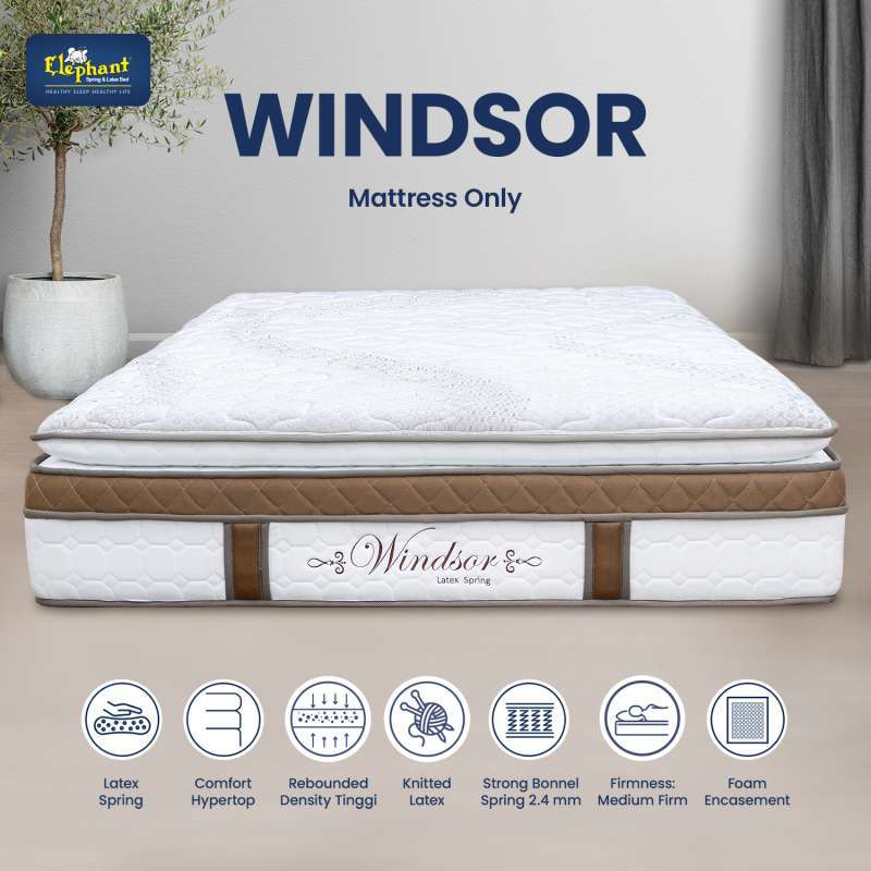 Promo Mattress Only Windsor Latex Spring Diskon 91% Di Seller