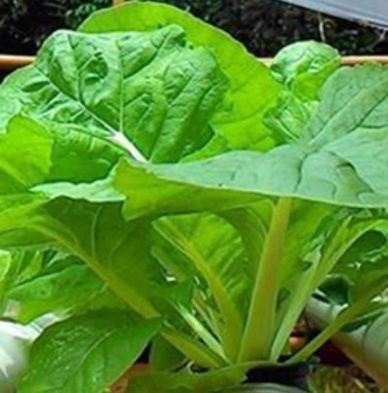 Paypoqda xotinim bilan uy qurilishi erotik jinsiy aloqa Gozal qizlar va yigit bilan porno