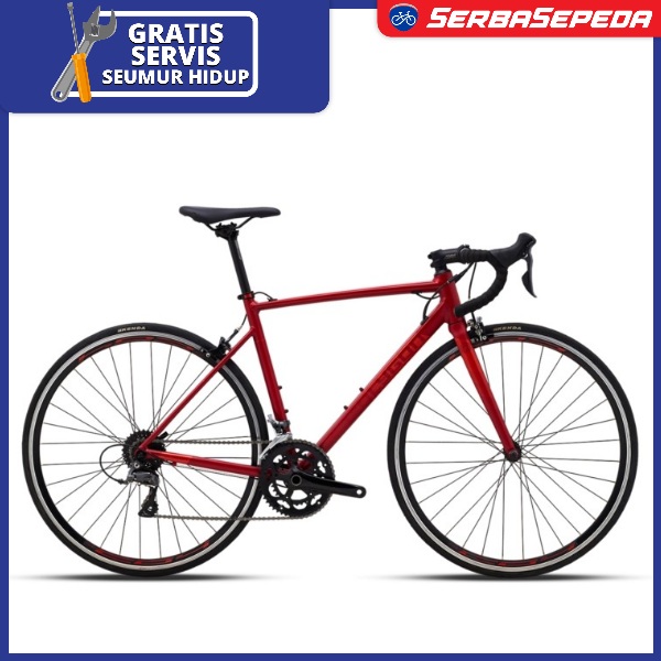 Harga sepeda road bike polygon 2020 best sale