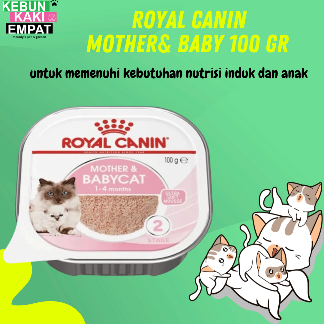 Royal canin mother and baby cat untuk online apa