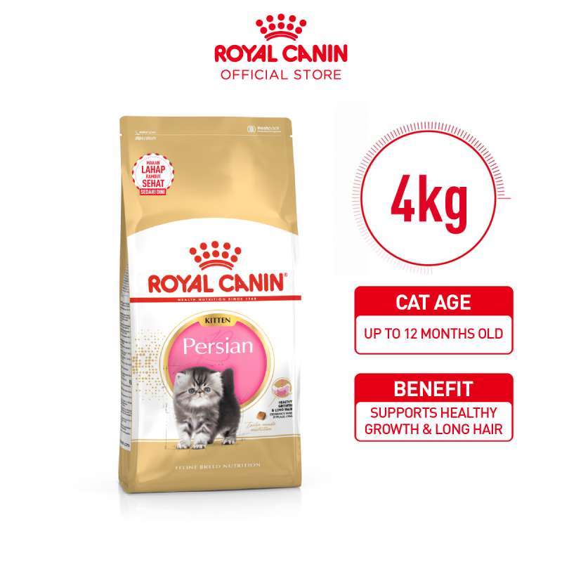 Kitten Dry Food Royal Canin Kitten Kg Promo Royal Canin Persian