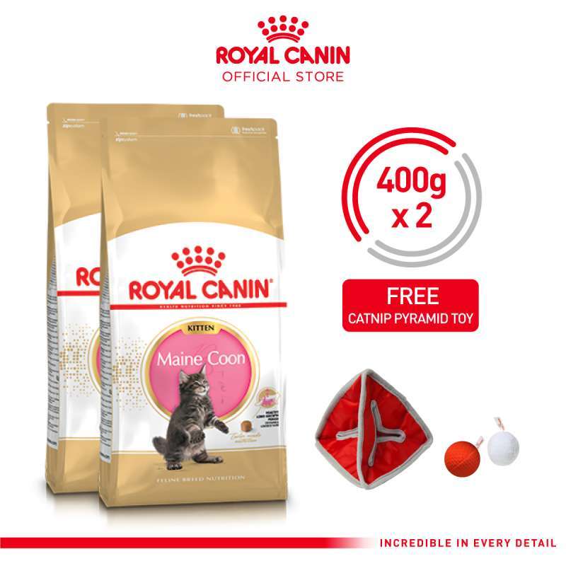 Concept for Life Kitten - in Saus Kattenvoer Aantrekkelijke prijzen bij