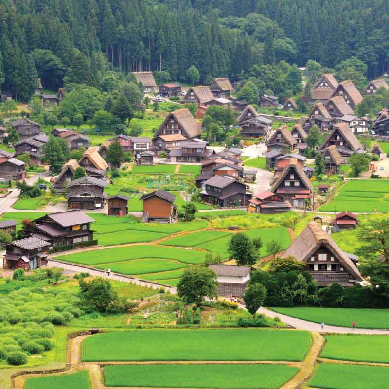 jual-avia-tour-g-day-japan-shirakawago-by-sq-7d5n-di-seller-avia-tour