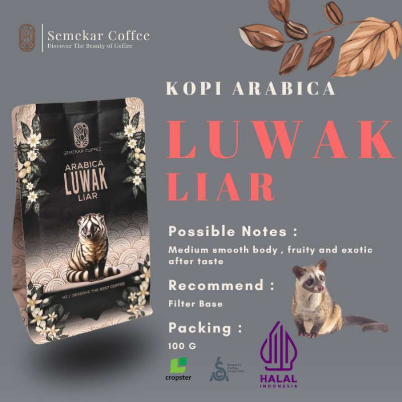Kopi Luwak Arabika 200 Gram Gratis Ongkir 🏷️ Harga Murah