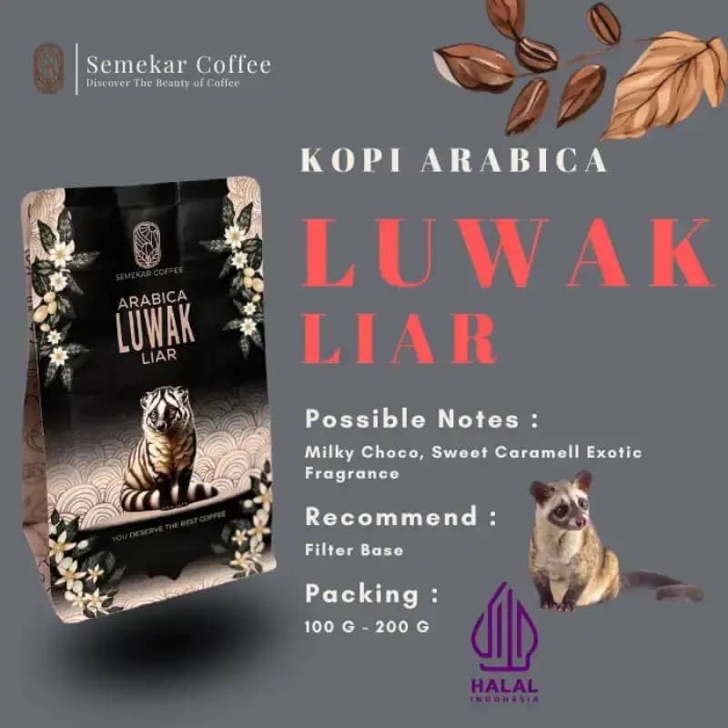 Kopi Luwak Biji Liar Gratis Ongkir 🏷️ Harga Murah Maret 2026