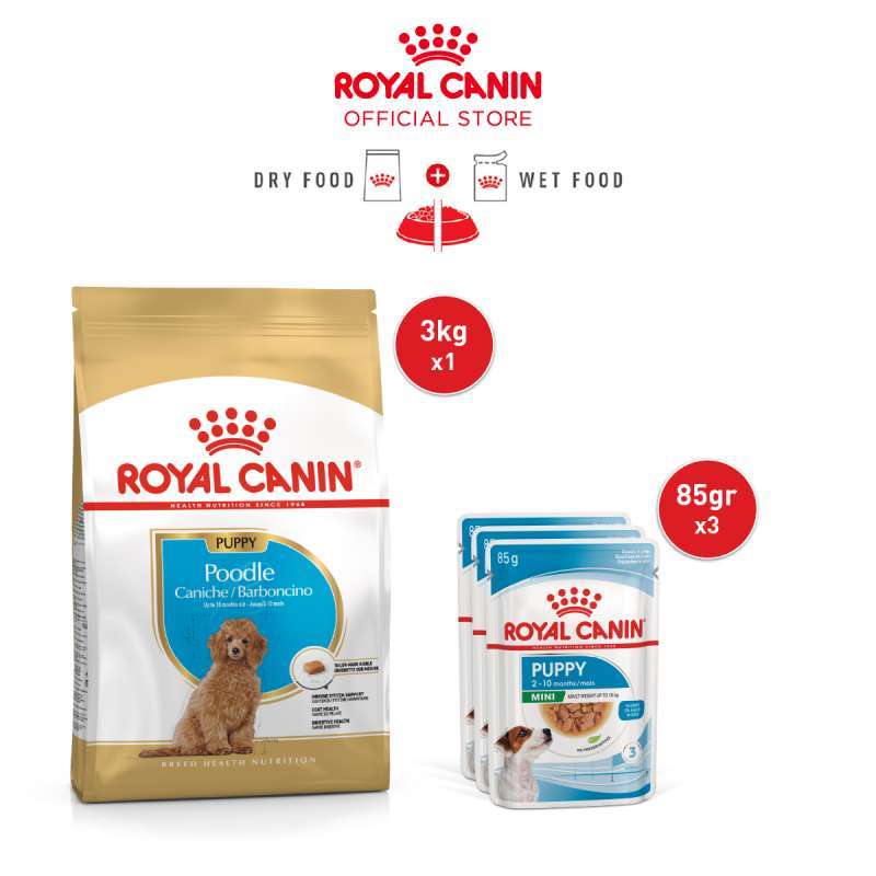 Promo Royal Canin Poodle Puppy (3kg) Dry Mini Puppy (85gx
