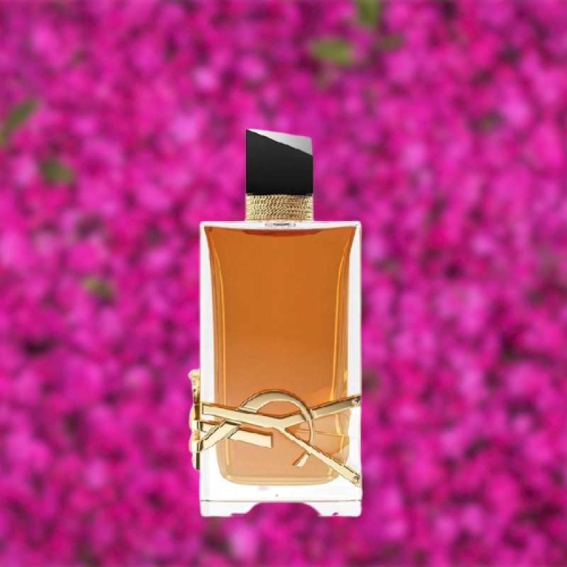 Parfum store ysl original