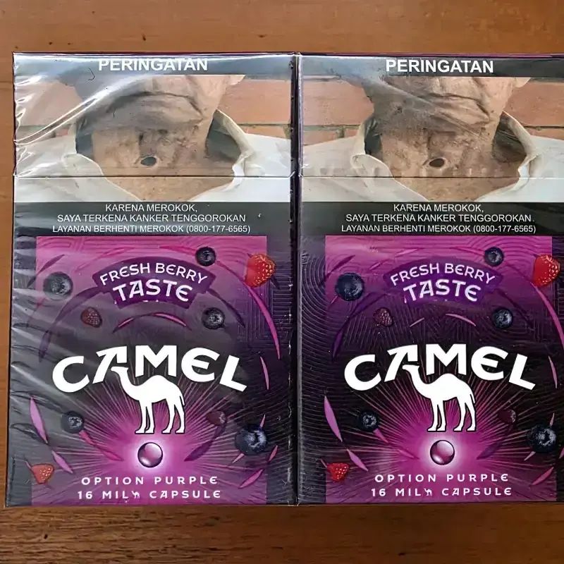 Variant Roko Camel Roko Camel Ungu 1 Slop 🔥 Harga Grosir Agustus 2026