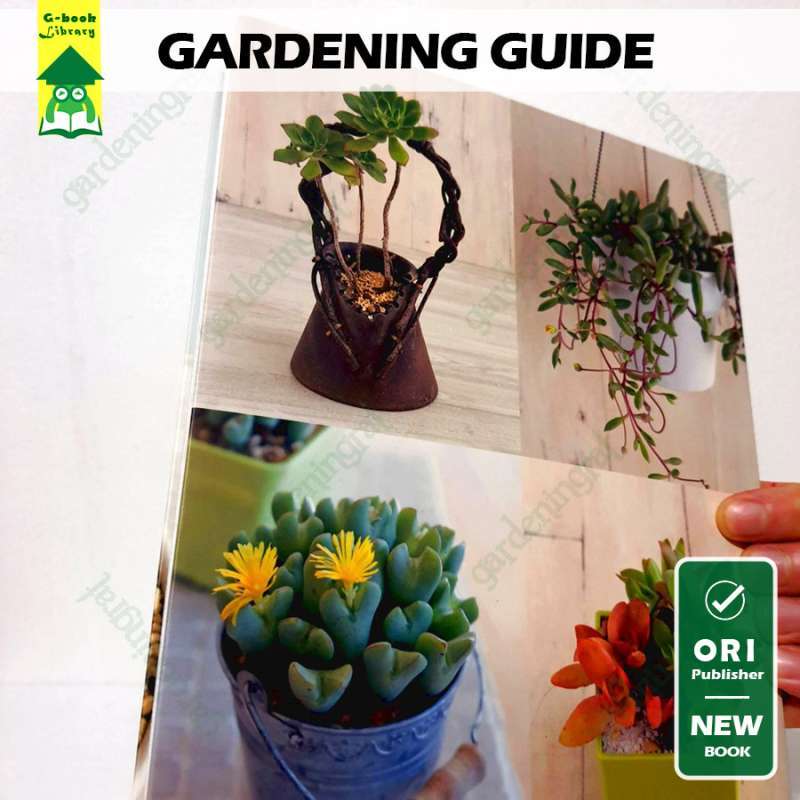 Jual A Beginner's Guide To Succulent Gardening: A Step-by-step Guide Di ...