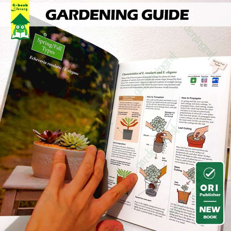 Jual A Beginner's Guide To Succulent Gardening: A Step-by-step Guide Di ...