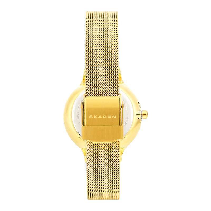 Promo Jam Tangan Wanita Skagen Anita Lille Skw2150 Silver Dial